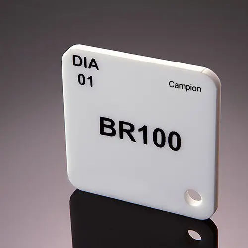 amostra-acrilico-campion-br100